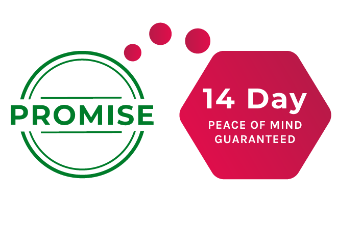 Lead Academy Footer promise