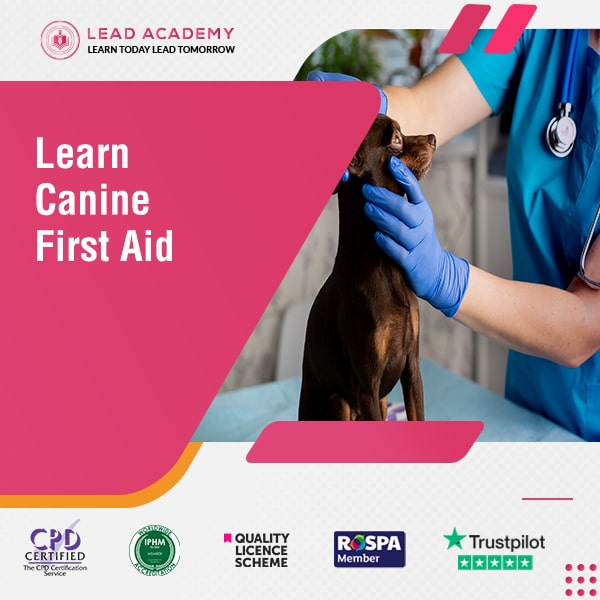 Canine First Aid Online Course