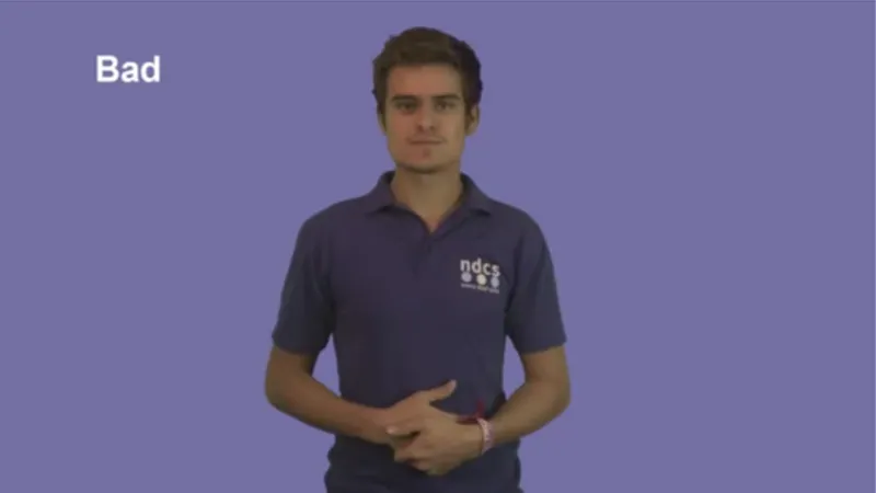 British Sign Language interpreter with a standard gesture