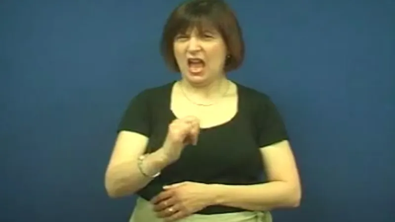 Bad in sign language usa