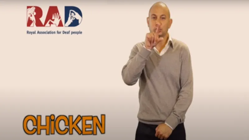 Chicken in sign languages