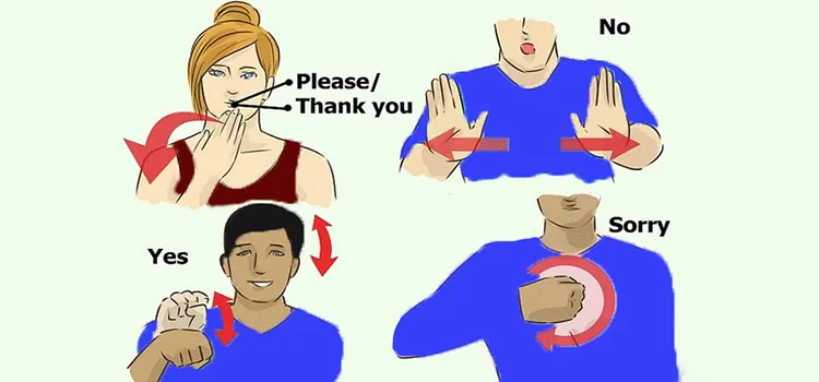 sign language words for beginners