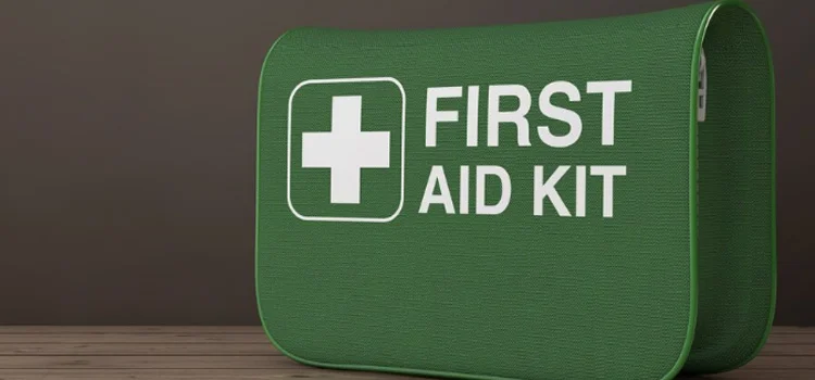 First Aid Kit in Green Bag