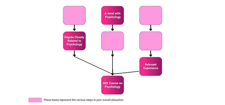 Subject Knowledge Enhancement (SKE) Flow Chart
