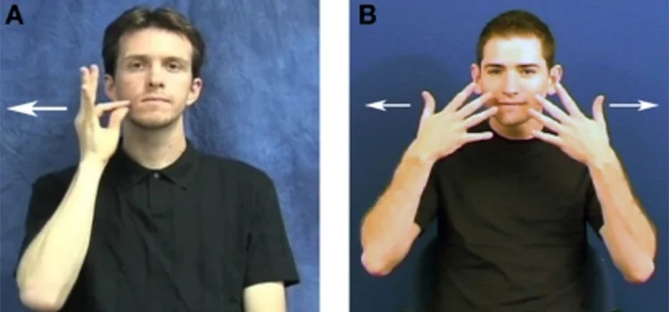 How to sign cat in ASL and BSL