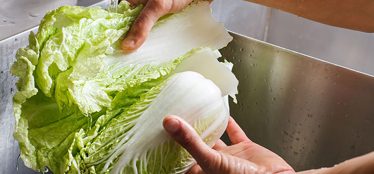 Hand washing chinese cabbage in the sink before preparing salad