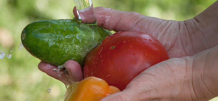 Hand washing vegetables before preparing meal