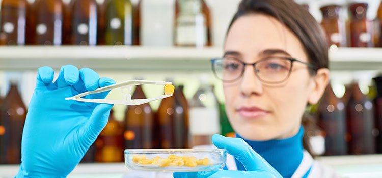 An environmental health office checking the quality of food