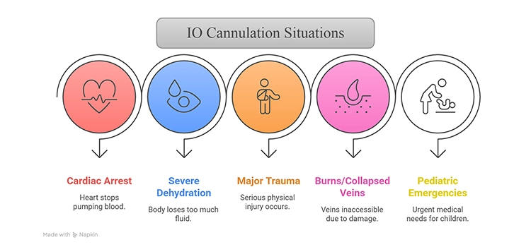 Illustration of when the intraosseous cannulation is used. 