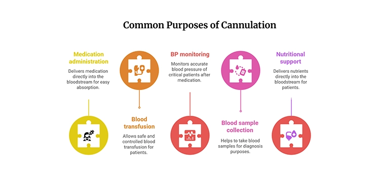 Illustration of common purposes of IV cannulation.