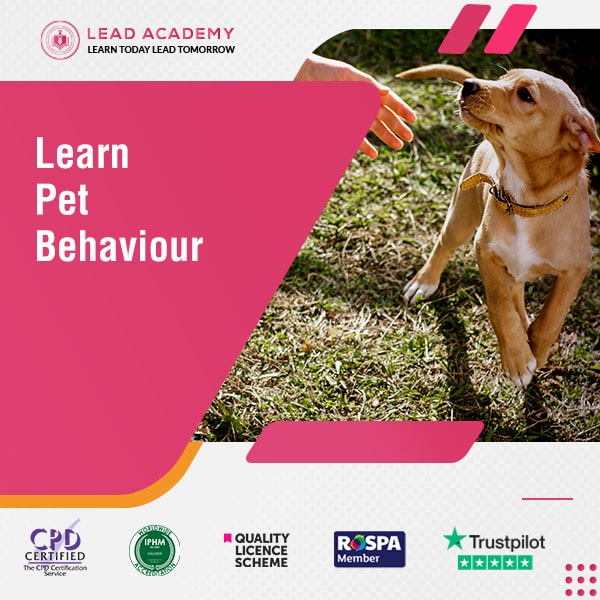 Pet Behaviour Training Course Online Level 3