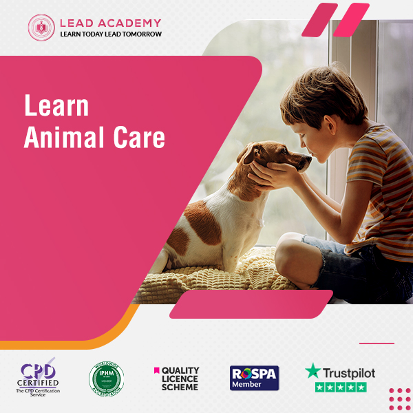 Animal Care Course at QLS Level 3