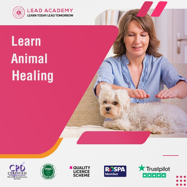 Animal Healing Course at QLS Level 5