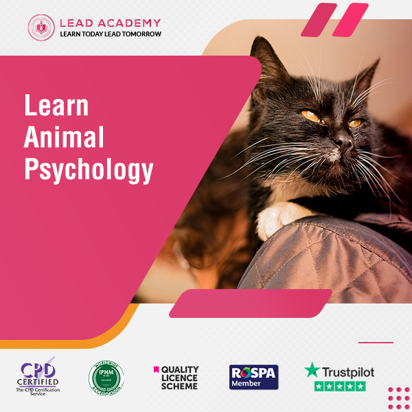 Animal Psychology Course Online at QLS Level 3