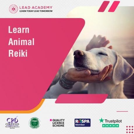 Animal Reiki Diploma Course Online