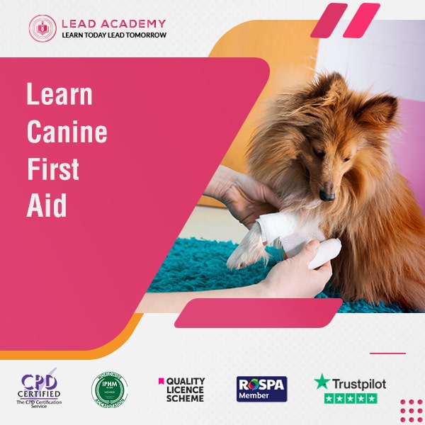 Canine First Aid Course Online (Emergency Care)