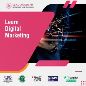 Digital Marketing - 12 Courses Complete Bundle