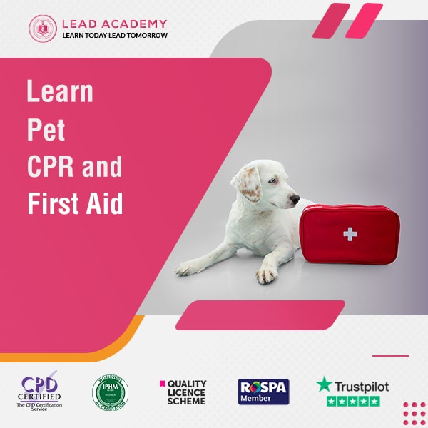 Pet CPR and First Aid Certification Course Online