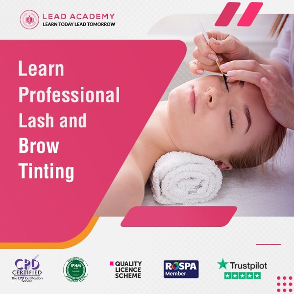 Professional Lash and Brow Tinting Course