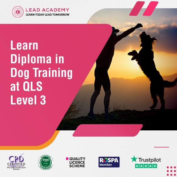 Diploma in Dog Training Course at QLS Level 3
