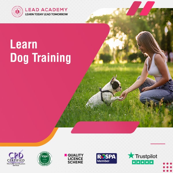 Dog Training Course Online