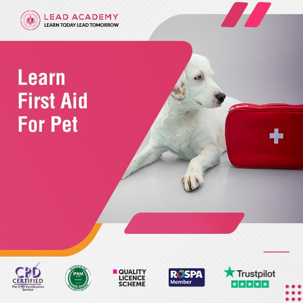 First Aid Course For Pet