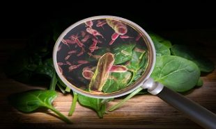 Foodborne Diseases