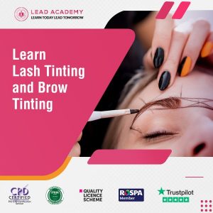 Lash Tinting and Brow Tinting Course Online