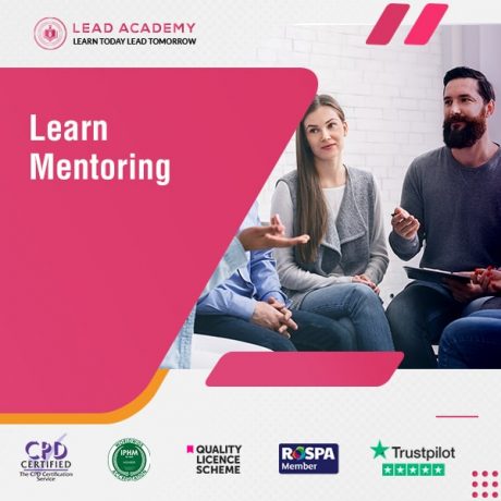 Mentoring Training Course Online