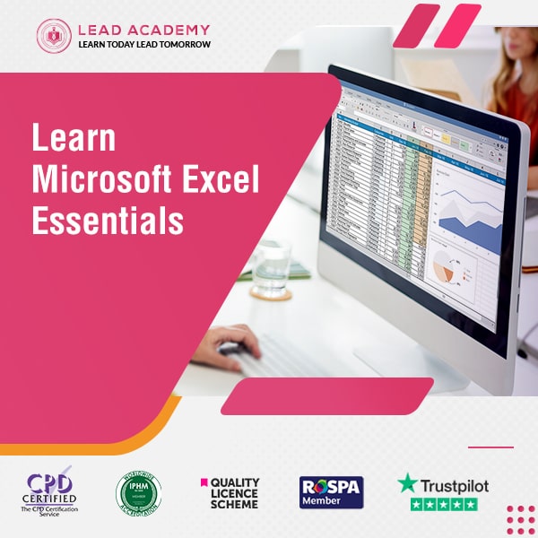Microsoft Excel Essentials Training Course Online