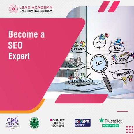 SEO Expert Training Course Online