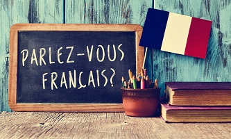 French Language Course - Level 5