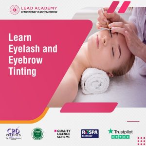 Eyelash and Eyebrow Tinting Training Course Online
