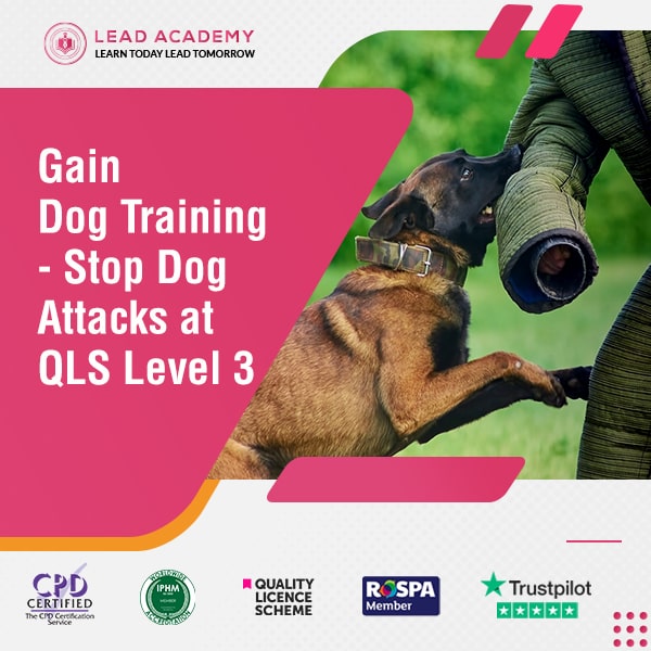 Dog Training Course - Stop Dog Attacks at QLS Level 3