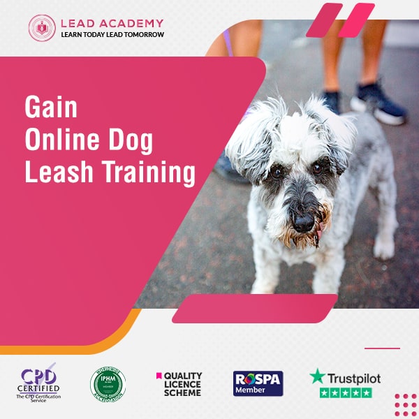 Online Dog Leash Training Course