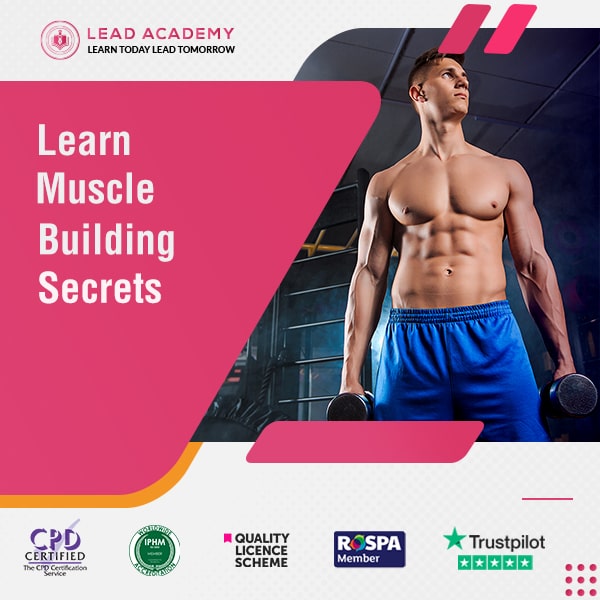 Muscle Building Secrets Course Online