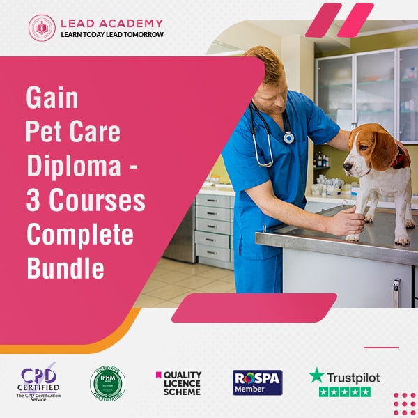 Pet Care Diploma - 3 Courses Complete Bundle