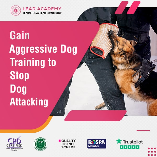 Aggressive Dog Training Course Online Stop Attacking