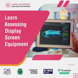 Assessing Display Screen Equipment Course Online