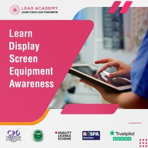 Display Screen Equipment Awareness Training Course Online