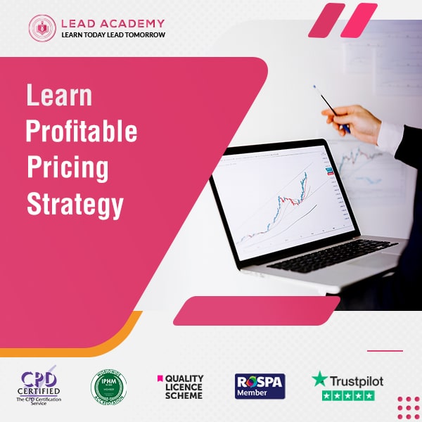 Profitable Pricing Strategy Online Training Course