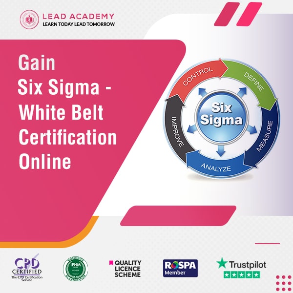 Six Sigma - White Belt Certification Online