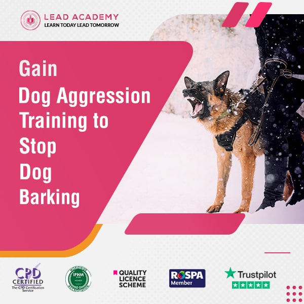 Stop Dog Barking Dog Aggression Training Online