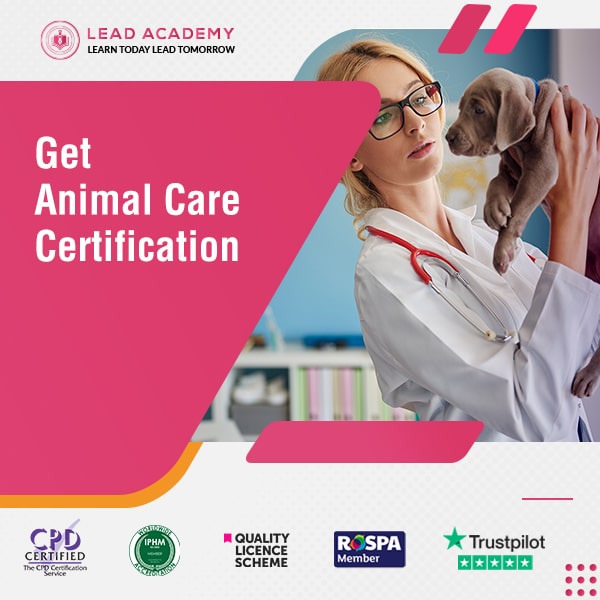 Animal Care Certification Online - Mega Bundle