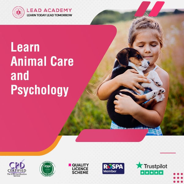 Animal Care Courses Online - Mega Bundle