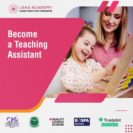 Complete Teaching Assistant Diploma Online