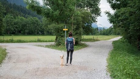 How Much Does it Cost to Train a Guide Dog