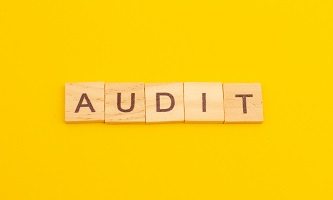 Institute of Internal Audits Standards Part 3 Online Course