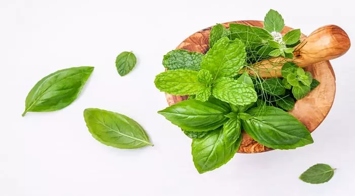 Ayurvedic Homemade Herbal Recipes Online Training Course
