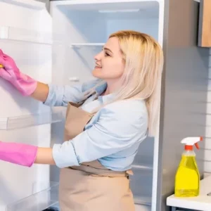 Fridge Cleaning and Organising Course Online